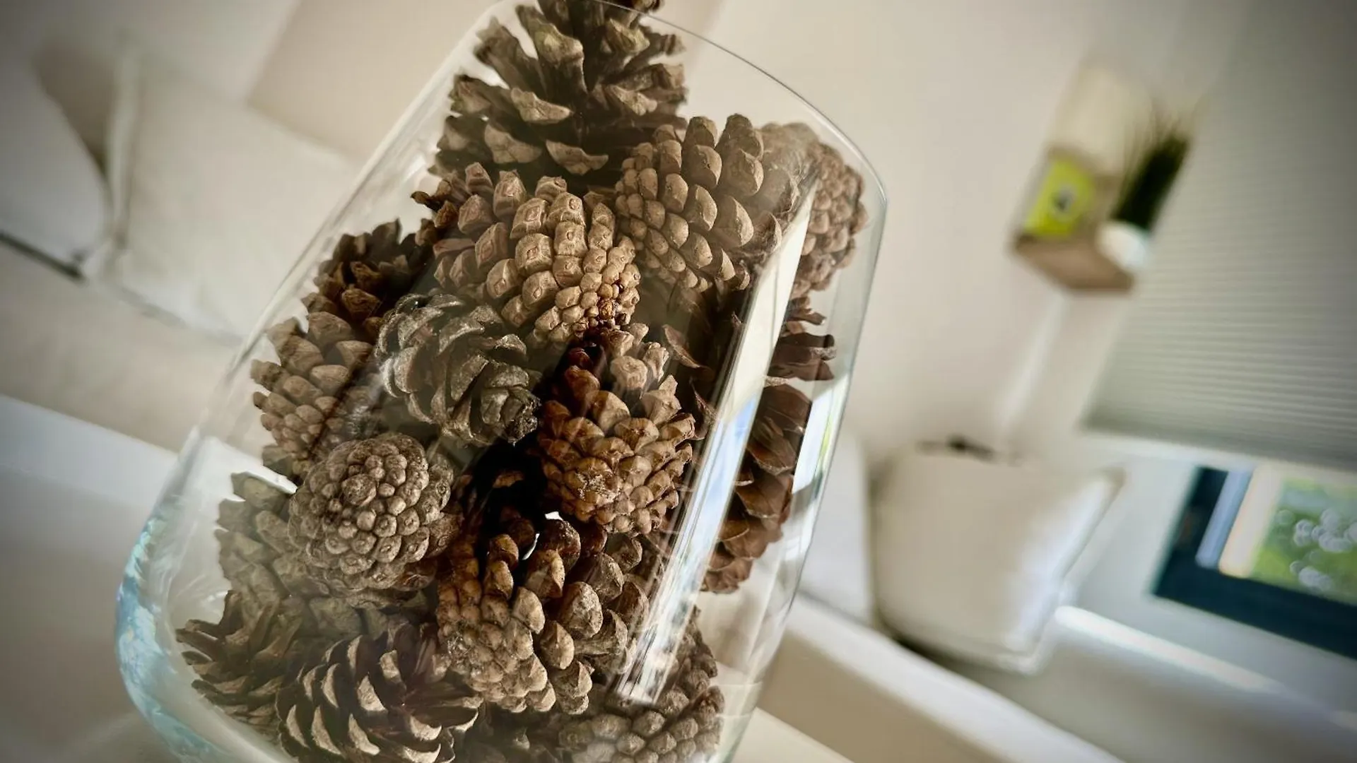 La Pommedepin Ravissante Maisonnette Avec Jardin Plouescat Prázdninový dům