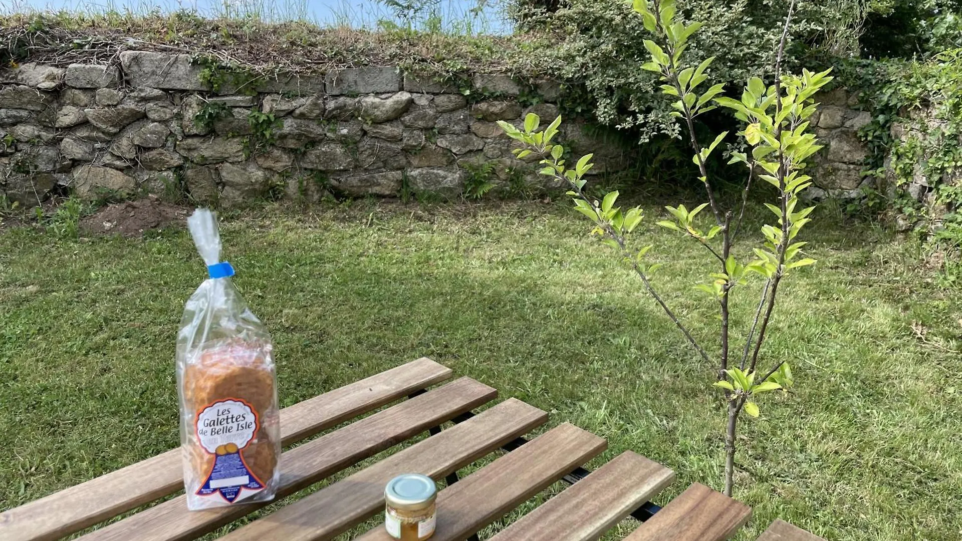 Holiday home La Pommedepin Ravissante Maisonnette Avec Jardin Plouescat